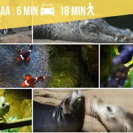 De Charme Hyper Centre Lägenhet